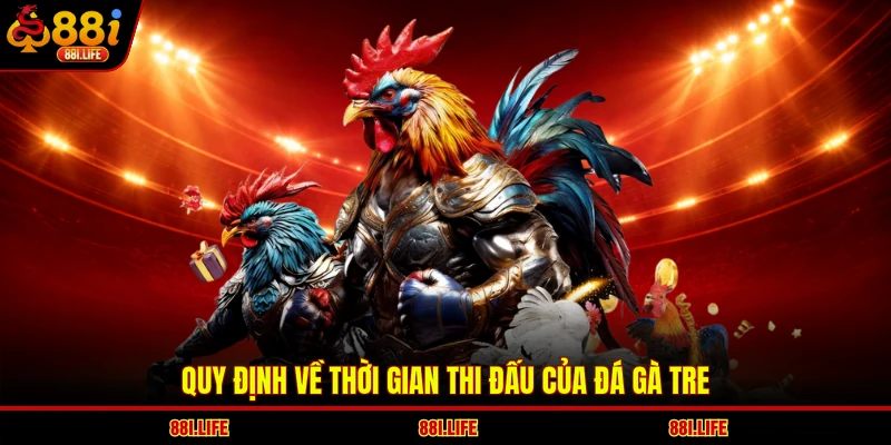 Quy định về thời gian thi đấu của đá gà tre