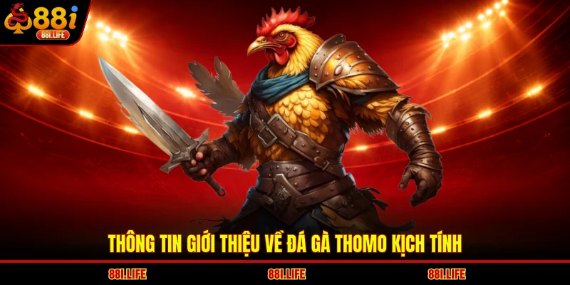 Thông tin giới thiệu về đá gà Thomo kịch tính